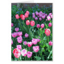 Recherche de pink Printemps