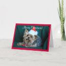 Suche nach yorkie christmas karten Santa