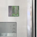 Suche nach nadelbaum magnete Nadelbäume