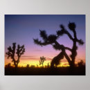 Suche nach 4x5 poster Hinterland