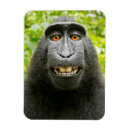 Suche nach selfie magnete Tiere