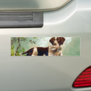 Recherche de boucher voiture autocollants Dog