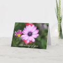 Suche nach blume für sie karten Durchtränkt