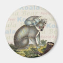 Suche nach koala liebe magnete Bär