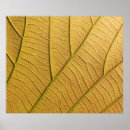 Recherche de motif botanique posters Automne