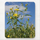Suche nach wilde sonnenblumen mousepads Blumenreich