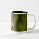 Recherche de arrière cour tasses Vertical