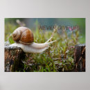 Recherche de abandonner posters Drôle