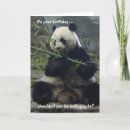 Recherche de panda birthday Animaux