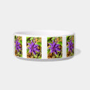 Suche nach clematis Natur