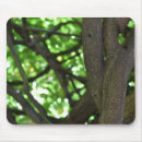Recherche de industrie électronique Arbre