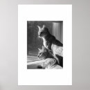 Suche nach bengalische katze poster Tiere