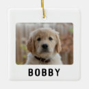 Recherche de chien mignon ornements Minimaliste