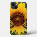 Recherche de photos de papillon coques Jardin d'agrément
