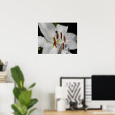 Suche nach orientalische poster Blume
