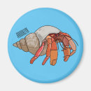 Recherche de mollusques et crustacés magnets Crabe