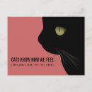 Suche nach sorge postkarten Katze