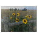 Recherche de tournesol planches à découper Pays