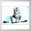 Suche nach traurige katze poster Tiere