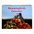 Suche nach kolibris kalender Vogelkalender