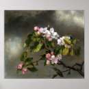 Suche nach kolibris poster Martin johnson heade