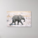 Suche nach namibia leinwandbilder Wild lebende tiere