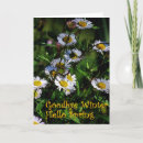 Suche nach frühlings karten Winter