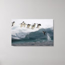 Recherche de pingouin mignon art Animal