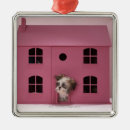Suche nach die puppe der ornamente Hund