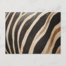 Suche nach zebradruck postkarten Tierdruck