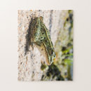 Recherche de grenouille puzzles Cool