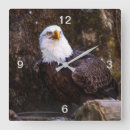 Suche nach eagle wanduhren Adler