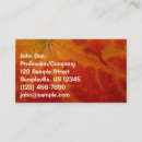 Recherche de feuille rouge photographie Automne