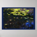 Suche nach seerosen poster Fotografie