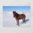 Recherche de noël cowboy cartes postales Cheval