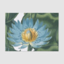 Recherche de fleur de nénuphar Calme