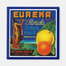 Suche nach zitrusfrucht magnete Florida