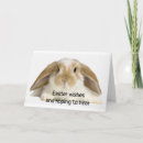 Recherche de pâques de lapin photographie Pour lui