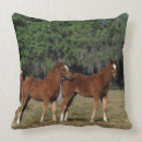 Recherche de pur sang coussins Groupe