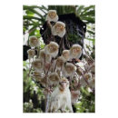 Recherche de copie de nature posters Plante
