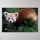 Suche nach smithsonian poster Fotografie