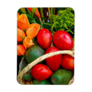 Recherche de fruits tropicaux magnets Tropical