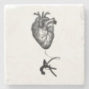 Recherche de anatomie dessous de verres Coeur anatomique