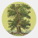 Suche nach pflanze ein baum aufkleber Bäume