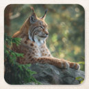 Suche nach luchs untersetzer Wild