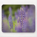 Suche nach bay mousepads Sommer