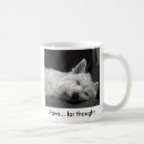 Recherche de westie tasses Chien