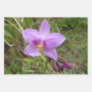 Recherche de orchid papier cadeau Nature