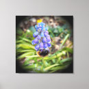 Suche nach hummel poster leinwandbilder Insekt