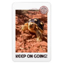 Recherche de aller à magnets Tortue